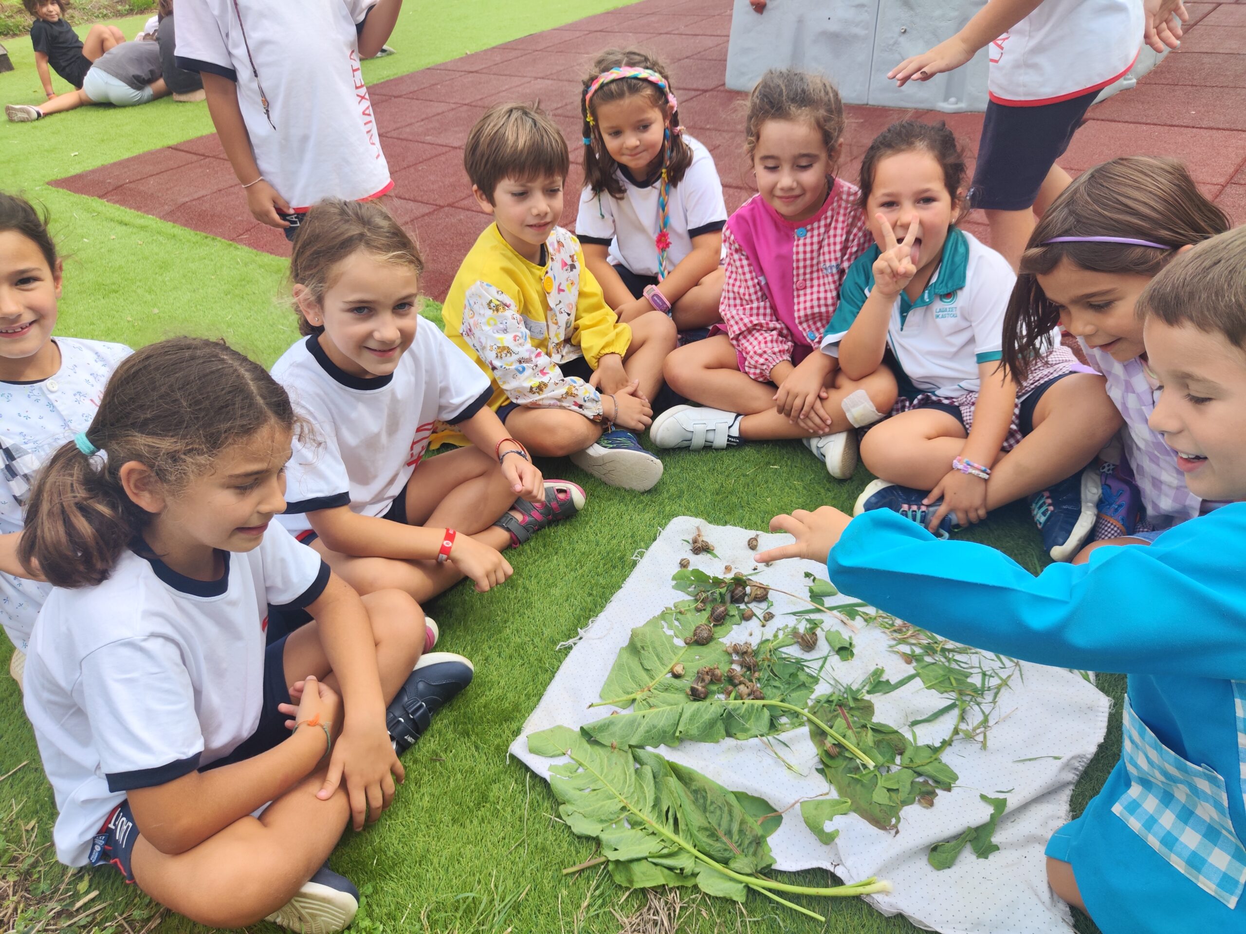 Los alumnos-as de Primaria: cuenta cuentos de los más txikis – Lauaxeta  Ikastola