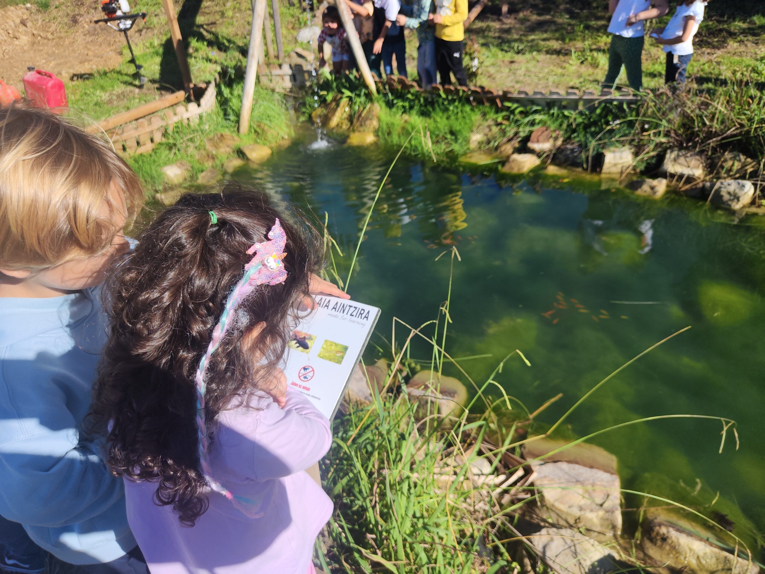 LAUAXETA IKASTOLA- Untxiak ikusten goaz HH (12)