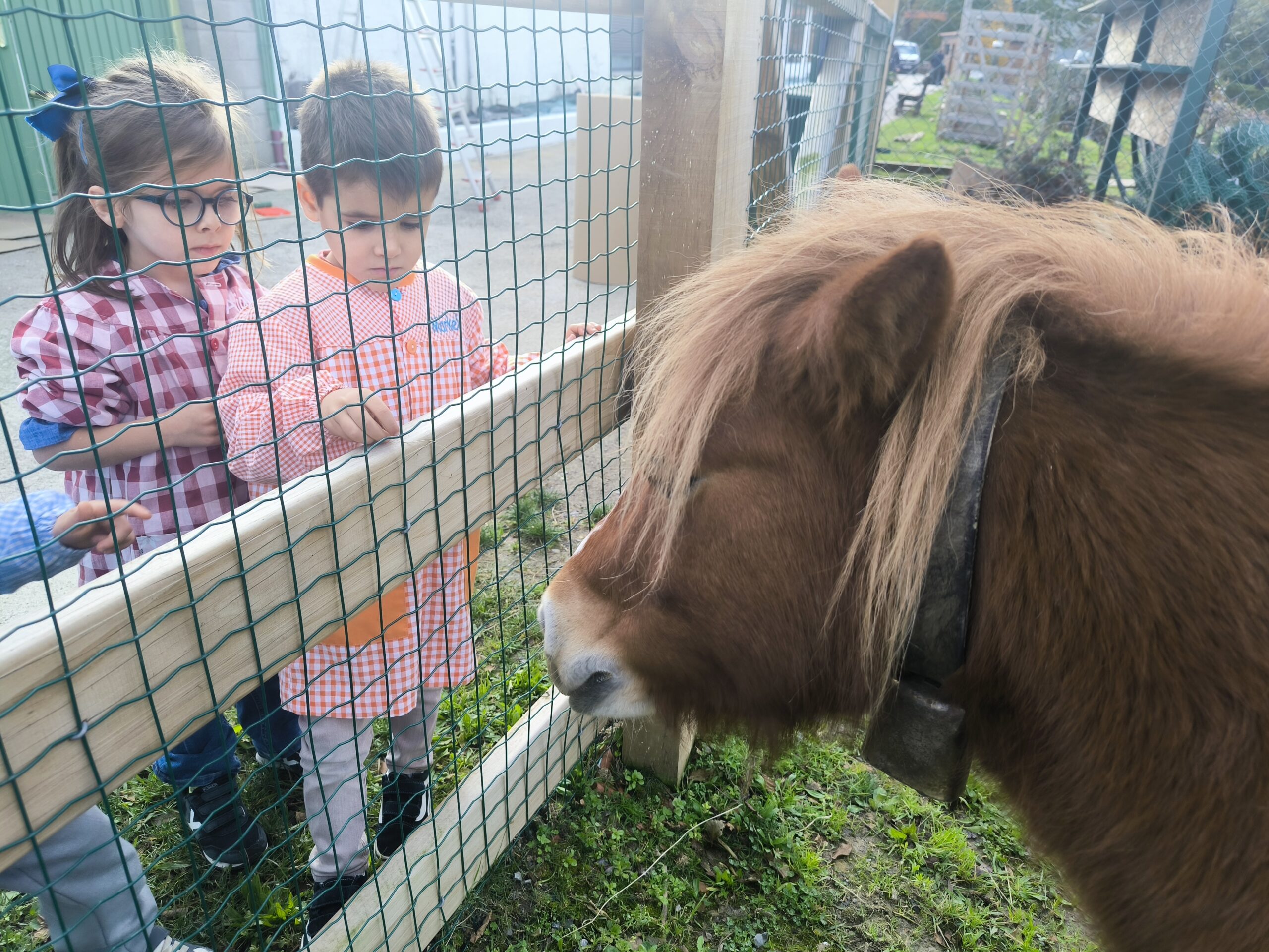 .trashed-1736850408-IMG_20241129_110705