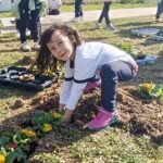 LAUAXETA IKASTOLA- Minni the seed